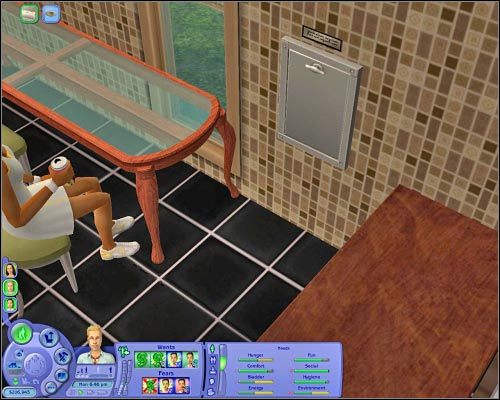 Zsyp pozwala znacząco skrócić czas potrzebny na pozbycie się śmieci. - Przedmioty codziennego użytku | The Sims 2 - The Sims 2 - Pełna Kolekcja - poradniki