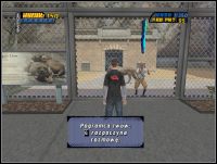 Pogromca lwów - Specyfikacja zadań 1 | ZOO | Tony Hawks Pro Skater 4 - Tony Hawks Pro Skater 4 - poradnik do gry