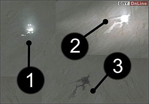 Studnie nie mają nieograniczonej ilości zdrowia - jedna ma tyle, ile wynosi twój maksymalny poziom, reprezentowany przez czerwony pasek - Tutorial B cz.1 - Shade: Gniew Aniołów - poradnik do gry