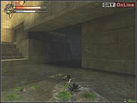 Patrząc na pomarańczowe, zamknięte wrota, po lewej nad wodą znajdziesz dwie magiczne łzy (lewy obrazek) - 16 - Świątynia Seta II cz.1 - Shade: Gniew Aniołów - poradnik do gry