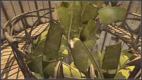 5 - 03 TOMAHNA | Myst IV Objawienie - Myst IV: Objawienie - poradnik do gry