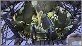 8 - 09 TOMAHNA | Myst IV Objawienie - Myst IV: Objawienie - poradnik do gry