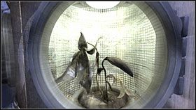 Wróciłem do windy i przeniosłem się do planetarium Atrusa - 10 TOMAHNA | Myst IV Objawienie - Myst IV: Objawienie - poradnik do gry