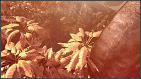 8 - 47 HAVEN | Myst IV Objawienie - Myst IV: Objawienie - poradnik do gry