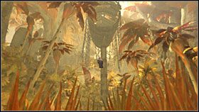 Rozchyliłem zarośla i wszedłem do góry - 48 HAVEN | Myst IV Objawienie - Myst IV: Objawienie - poradnik do gry