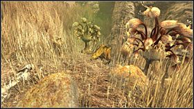 3 - 53 HAVEN | Myst IV Objawienie - Myst IV: Objawienie - poradnik do gry