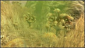 Przyjrzałem się roślinom - 53 HAVEN | Myst IV Objawienie - Myst IV: Objawienie - poradnik do gry