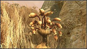 4 - 53 HAVEN | Myst IV Objawienie - Myst IV: Objawienie - poradnik do gry