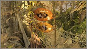 8 - 59 HAVEN | Myst IV Objawienie - Myst IV: Objawienie - poradnik do gry