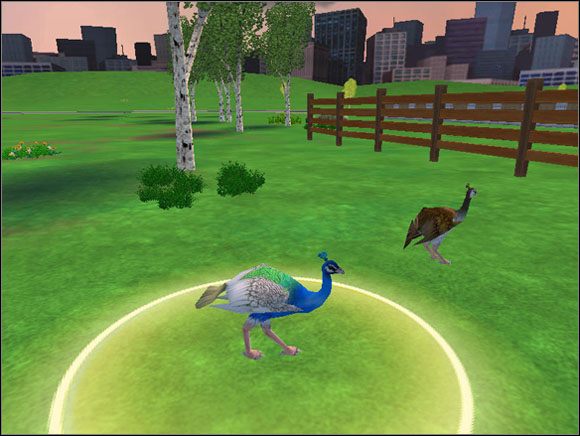 1 - Poza Start | Trening | Zoo Tycoon 2 - Zoo Tycoon 2 - poradnik do gry