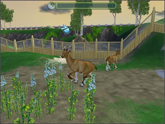 Zdobycie zwierząt górskich zajmie Ci najwięcej czasu. - Środowiska Naturalne Świata | Ziemia | Zoo Tycoon 2 - Zoo Tycoon 2 - poradnik do gry
