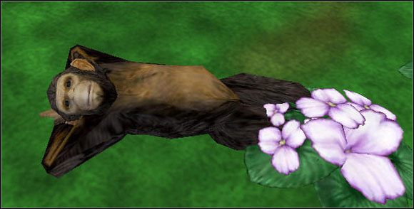 This is a mans world - Poradnik do gry - Wprowadzenie | Zoo Tycoon 2 - Zoo Tycoon 2 - poradnik do gry