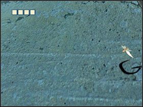 Pogadaj z Twotongueiem , aby dać mu wtryskiwacz (Injector ) - 17 - Feed Ward (2) | Solucja | Kroniki Riddicka Ucieczka z Butcher Bay - Kroniki Riddicka: Ucieczka z Butcher Bay - poradnik do gry