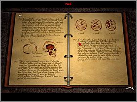 2 - 79 [Rozdział 5] Zamek Black Mirror - The Black Mirror - poradnik do gry