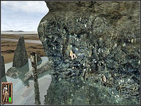 Żółw - 02 Plaża | Return to Mysterious Island: Powrót na Tajemniczą Wyspę - Return to Mysterious Island: Powrót na Tajemniczą Wyspę - poradnik do gry