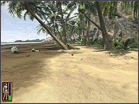 5 - 02 Plaża | Return to Mysterious Island: Powrót na Tajemniczą Wyspę - Return to Mysterious Island: Powrót na Tajemniczą Wyspę - poradnik do gry