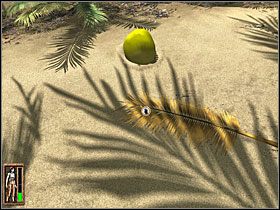 Nieopodal leżał jeszcze jeden kokos, nieco może już nieświeży, ale też go wzięłam - 03 Plaża | Return to Mysterious Island: Powrót na Tajemniczą Wyspę - Return to Mysterious Island: Powrót na Tajemniczą Wyspę - poradnik do gry