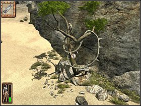 Wspięłam się jeszcze nieco wyżej - 05 Plaża | Return to Mysterious Island: Powrót na Tajemniczą Wyspę - Return to Mysterious Island: Powrót na Tajemniczą Wyspę - poradnik do gry