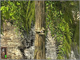 6 - 05 Plaża | Return to Mysterious Island: Powrót na Tajemniczą Wyspę - Return to Mysterious Island: Powrót na Tajemniczą Wyspę - poradnik do gry