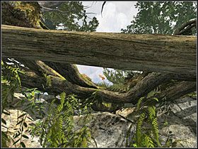 Cóż to za piękna wyspa - 07 Ścieżka | Return to Mysterious Island: Powrót na Tajemniczą Wyspę - Return to Mysterious Island: Powrót na Tajemniczą Wyspę - poradnik do gry