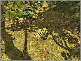 3 - 07 Ścieżka | Return to Mysterious Island: Powrót na Tajemniczą Wyspę - Return to Mysterious Island: Powrót na Tajemniczą Wyspę - poradnik do gry