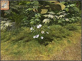 4 - 07 Ścieżka | Return to Mysterious Island: Powrót na Tajemniczą Wyspę - Return to Mysterious Island: Powrót na Tajemniczą Wyspę - poradnik do gry