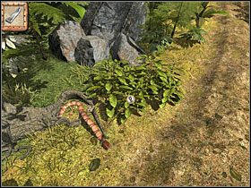 3 - 08 Ścieżka | Return to Mysterious Island: Powrót na Tajemniczą Wyspę - Return to Mysterious Island: Powrót na Tajemniczą Wyspę - poradnik do gry