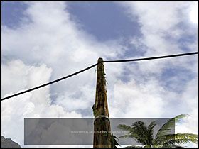 6 - 08 Ścieżka | Return to Mysterious Island: Powrót na Tajemniczą Wyspę - Return to Mysterious Island: Powrót na Tajemniczą Wyspę - poradnik do gry