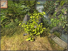 Znów w ścieżkę po lewej i skręt w kolejną, również w lewo - 08 Ścieżka | Return to Mysterious Island: Powrót na Tajemniczą Wyspę - Return to Mysterious Island: Powrót na Tajemniczą Wyspę - poradnik do gry