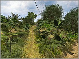 7 - 08 Ścieżka | Return to Mysterious Island: Powrót na Tajemniczą Wyspę - Return to Mysterious Island: Powrót na Tajemniczą Wyspę - poradnik do gry