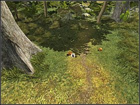 2 - 09 Ścieżka | Return to Mysterious Island: Powrót na Tajemniczą Wyspę - Return to Mysterious Island: Powrót na Tajemniczą Wyspę - poradnik do gry