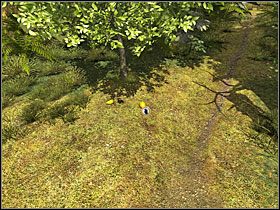 Kiedy odwróciłam się w stronę resztek jakichś zabudowań, zza kamiennych osłon wyskoczyło kilka małp i zaczęły rzucać we mnie kamieniami - 09 Ścieżka | Return to Mysterious Island: Powrót na Tajemniczą Wyspę - Return to Mysterious Island: Powrót na Tajemniczą Wyspę - poradnik do gry