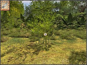 2 - 10 Bambusowy zagajnik | Return to Mysterious Island: Powrót na Tajemniczą Wyspę - Return to Mysterious Island: Powrót na Tajemniczą Wyspę - poradnik do gry