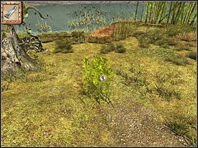 Z pnia wierzby odcięłam trochę kory, zerwałam też jakąś słomę i coś jakby trzcinę - 10 Bambusowy zagajnik | Return to Mysterious Island: Powrót na Tajemniczą Wyspę - Return to Mysterious Island: Powrót na Tajemniczą Wyspę - poradnik do gry