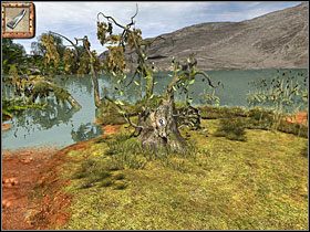 3 - 10 Bambusowy zagajnik | Return to Mysterious Island: Powrót na Tajemniczą Wyspę - Return to Mysterious Island: Powrót na Tajemniczą Wyspę - poradnik do gry