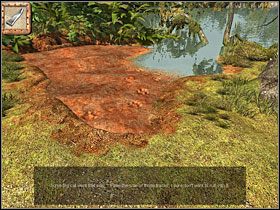 4 - 10 Bambusowy zagajnik | Return to Mysterious Island: Powrót na Tajemniczą Wyspę - Return to Mysterious Island: Powrót na Tajemniczą Wyspę - poradnik do gry