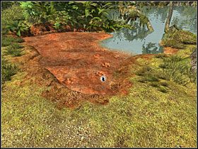 5 - 10 Bambusowy zagajnik | Return to Mysterious Island: Powrót na Tajemniczą Wyspę - Return to Mysterious Island: Powrót na Tajemniczą Wyspę - poradnik do gry