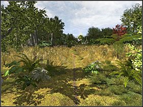 1 - 11 Bambusowy zagajnik | Return to Mysterious Island: Powrót na Tajemniczą Wyspę - Return to Mysterious Island: Powrót na Tajemniczą Wyspę - poradnik do gry