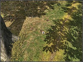 5 - 11 Bambusowy zagajnik | Return to Mysterious Island: Powrót na Tajemniczą Wyspę - Return to Mysterious Island: Powrót na Tajemniczą Wyspę - poradnik do gry