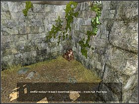 4 - 13 Ruiny | Return to Mysterious Island: Powrót na Tajemniczą Wyspę - Return to Mysterious Island: Powrót na Tajemniczą Wyspę - poradnik do gry