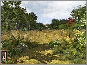 6 - 13 Ruiny | Return to Mysterious Island: Powrót na Tajemniczą Wyspę - Return to Mysterious Island: Powrót na Tajemniczą Wyspę - poradnik do gry