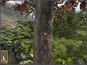 8 - 13 Ruiny | Return to Mysterious Island: Powrót na Tajemniczą Wyspę - Return to Mysterious Island: Powrót na Tajemniczą Wyspę - poradnik do gry