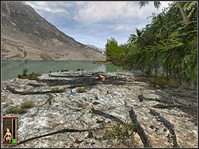 2 - 14 Kamienna plaża | Return to Mysterious Island: Powrót na Tajemniczą Wyspę - Return to Mysterious Island: Powrót na Tajemniczą Wyspę - poradnik do gry