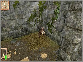 2 - 19 Ruiny | Return to Mysterious Island: Powrót na Tajemniczą Wyspę - Return to Mysterious Island: Powrót na Tajemniczą Wyspę - poradnik do gry