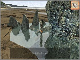 3 - 28 Plaża | Return to Mysterious Island: Powrót na Tajemniczą Wyspę - Return to Mysterious Island: Powrót na Tajemniczą Wyspę - poradnik do gry