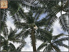 5 - 28 Plaża | Return to Mysterious Island: Powrót na Tajemniczą Wyspę - Return to Mysterious Island: Powrót na Tajemniczą Wyspę - poradnik do gry