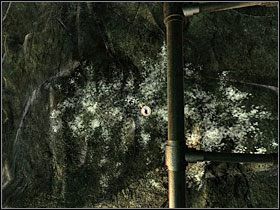 2 - 37 Granitowy Dom | Return to Mysterious Island: Powrót na Tajemniczą Wyspę - Return to Mysterious Island: Powrót na Tajemniczą Wyspę - poradnik do gry