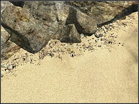 4 - 39 Plaża | Return to Mysterious Island: Powrót na Tajemniczą Wyspę - Return to Mysterious Island: Powrót na Tajemniczą Wyspę - poradnik do gry