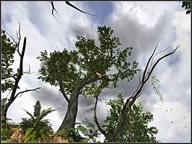 1 - 41 Przy murku | Return to Mysterious Island: Powrót na Tajemniczą Wyspę - Return to Mysterious Island: Powrót na Tajemniczą Wyspę - poradnik do gry