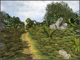 8 - 41 Przy murku | Return to Mysterious Island: Powrót na Tajemniczą Wyspę - Return to Mysterious Island: Powrót na Tajemniczą Wyspę - poradnik do gry